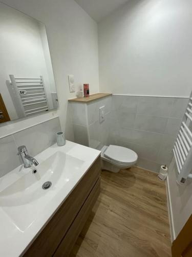 une salle de bain avec un lavabo blanc et des toilettes dans l'établissement La maison de Carlos, à Gondrecourt-le-Château