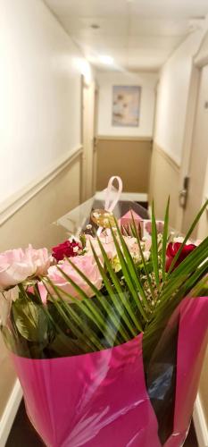 Evelia Hotels
