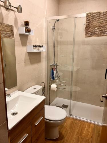 a bathroom with a shower and a toilet and a sink at Apartamentos EL PELIGRO 1 El CONJURO in Archidona