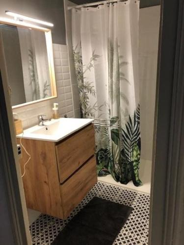 une salle de bain avec un lavabo et un rideau de douche dans l'établissement Maison ICHABELENIA, à Salies-de-Béarn