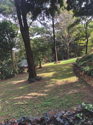 a park with a tree in the middle of a field at The Address Resort in Kalangala