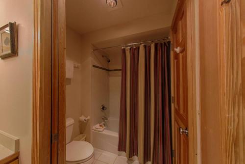 ein Bad mit einem WC und einem Duschvorhang in der Unterkunft Condo - Dreamcatcher 121 in Driggs