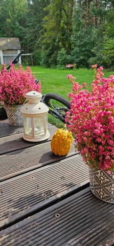 a lantern and flowers on a wooden table at Kotula in AdamÃ³w
