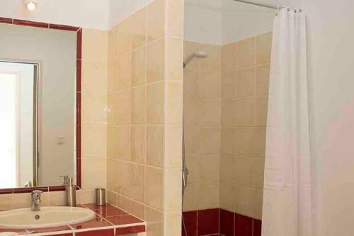 Un baño con lavabo y ducha con espejo. en Gîte les coquelicots 2 Quartier résidentiel ( 2 * ), en LʼIsle-sur-la-Sorgue