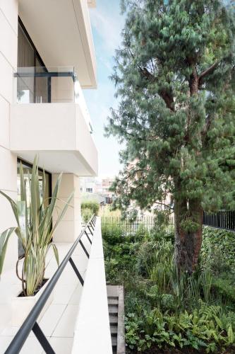 a view from the balcony of a house with a tree at 8010 Urban Living- Luxury Home Experience in Bogotá