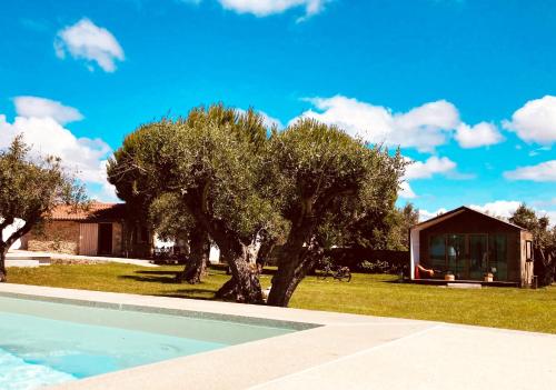 a swimming pool in front of a house with trees at Casinhas da Póvoa- Turismo Natureza in Castelo de Vide