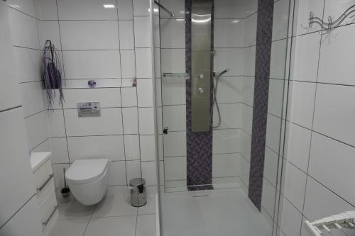 シュクラルスカ・ポレンバにあるI Zimą I Latemのバスルーム(トイレ、ガラス張りのシャワー付)