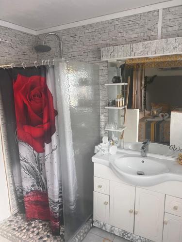 a bathroom with a sink and a red rose in a shower at La suite parentale in Basse-Terre