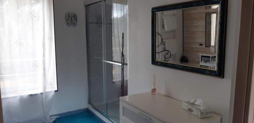 a bathroom with a shower and a sink and a mirror at La Ferme De Sicard in Terssac