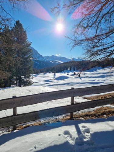 Paisaje cerca de este bed & breakfast