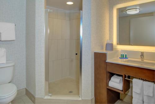 uma casa de banho com um chuveiro, um WC e um lavatório. em Holiday Inn Express - Chester, an IHG Hotel em Chester