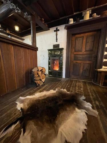 a living room with a fireplace at Chalupa Hejmovka in Špindlerův Mlýn