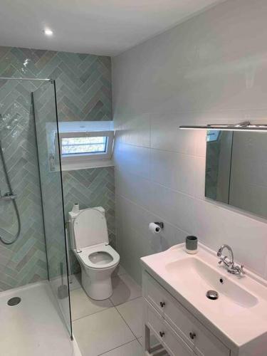 a bathroom with a toilet and a sink and a shower at Maison familiale 80m2 3 chambres in Naucelles