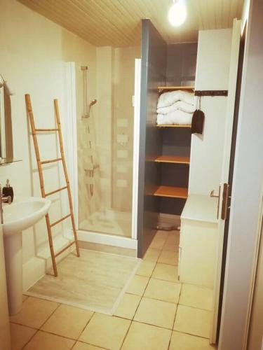 une salle de bain avec une douche, des toilettes et un lavabo dans l'établissement Le Petit Loft Vosgien, à Cornimont
