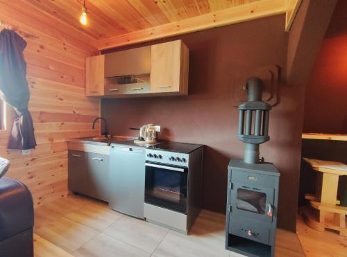 Kuchyň nebo kuchyňský kout v ubytování Stone Lodge 3