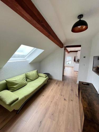 salon z zieloną kanapą i oknem w obiekcie Apartment Mirabelle 5 w mieście Püttlingen