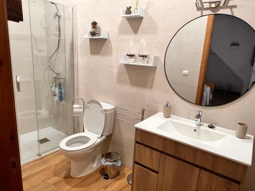 bagno con servizi igienici, lavandino e specchio di Apartamentos EL PELIGRO 5 ZAGUAN ad Archidona