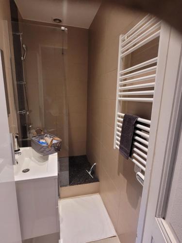 a bathroom with a shower and a sink and a mirror at L'appartement Idéal 4 voyageurs in Boulogne-Billancourt