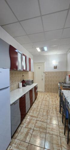 Kuchyň nebo kuchyňský kout v ubytování The Historical Family House-Cluj Napoca center