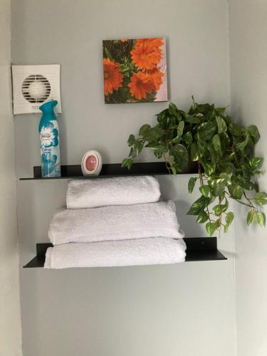 ein Regal mit Handtüchern und eine Pflanze im Bad in der Unterkunft Home from Home in our Self-Contained Annexe in Radwinter