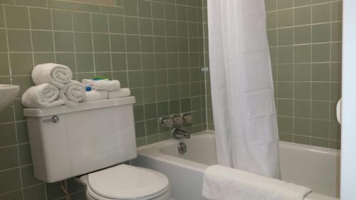 La salle de bains est pourvue de toilettes, d'une baignoire et de serviettes. dans l'établissement Kentucky Lake Inn, à Gilbertsville