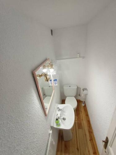 a bathroom with a sink and a toilet and a mirror at La Majada del Puente in El Royo