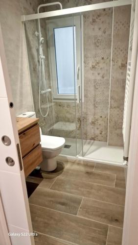 a bathroom with a shower and a toilet at Ventana a Santa María in Burgos