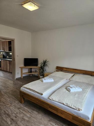 a bedroom with a large bed and a television at Apartmány Karolína - Kašperské Hory in Kašperské Hory