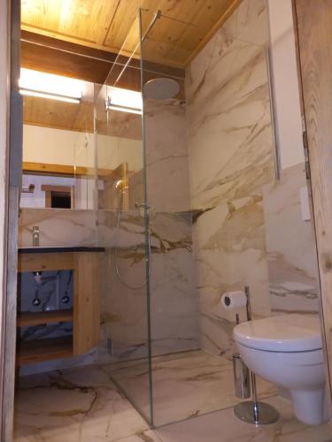 a bathroom with a shower and a toilet at Scheffauerhof in Scheffau am Wilden Kaiser