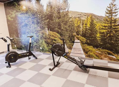 a gym with two exercise bikes and a picture of a mountain at Apartament ONE Szklarska Poręba in Szklarska Poręba