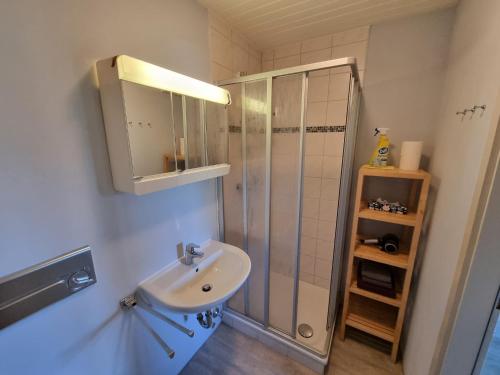 La salle de bains est pourvue d'un lavabo et d'une douche. dans l'établissement Malerhaus Ferienwohnungen, à Bad Reichenhall