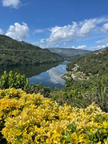a view of a river with yellow flowers at Quinta Vale do Cabo in Riba Douro