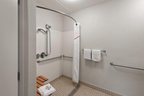 a bathroom with a shower with a toilet and towels at Red Roof Inn Binghamton - Johnson City in Binghamton