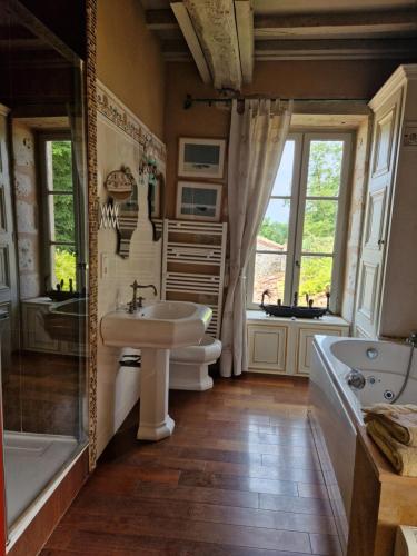 La salle de bains est pourvue d'un lavabo, d'une baignoire, de toilettes et d'une baignoire. dans l'établissement Château le But et sa Guest House proche de Périgueux en Dordogne, à Léguillac-de-Lauche