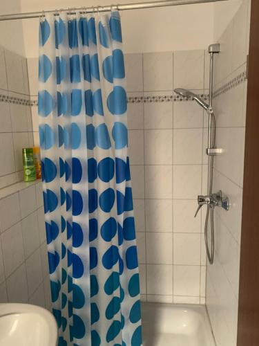 a bathroom with a shower with a blue and white shower curtain at Studio Heidelberg in Heidelberg