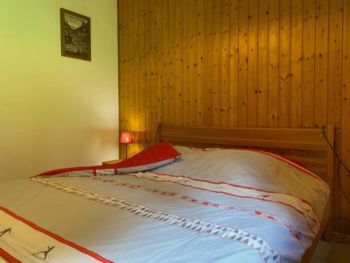 Charmant appartement 2 chambres avec parking à Châtel, à 200m du centre