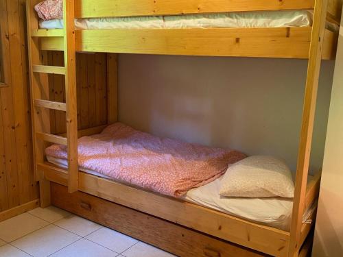Charmant appartement à Châtel, proche du centre, 2 chambres, 1 place parking