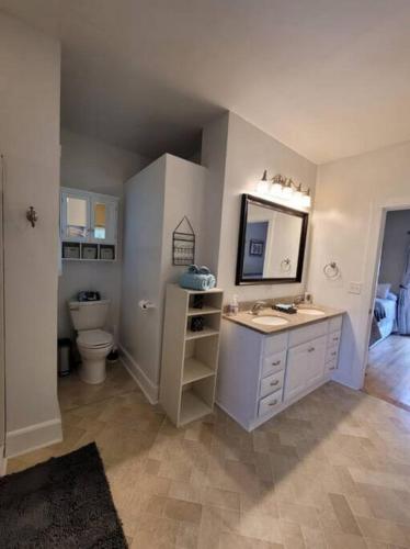 a bathroom with a sink and a toilet and a mirror at Quiet Country Farmhouse in Suwanee