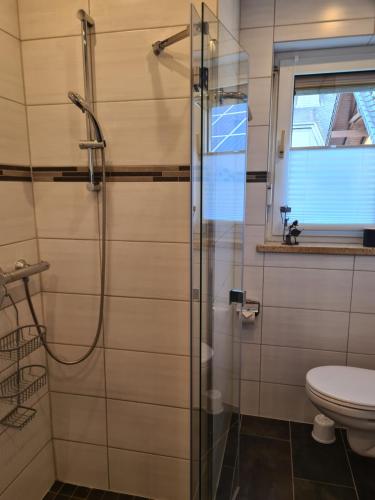 bagno con doccia e servizi igienici. di Ferienwohnung Im Birkenweg a Mörsdorf