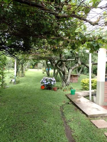 a garden with a tree with flowers in a yard at La Posada de Ines in Yala