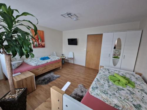 una habitación con 2 camas y una mesa con una planta en Zimmervermietungen Jachna en Haselünne