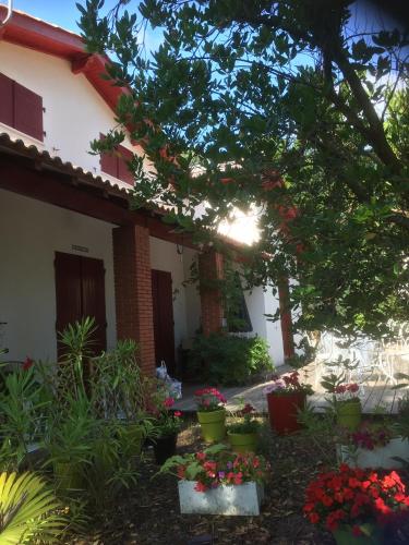 Photo de la galerie de l'établissement Maison familiale en plein centre du Cap Ferret, à Lège-Cap-Ferret