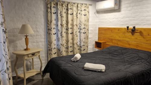 a bedroom with a bed and a table with a lamp at Cabaña Santa Ana in Santa Ana
