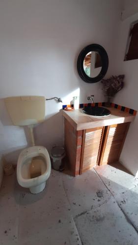 y baño con aseo, lavabo y espejo. en Casa da Gralheirinha, en Santana do Mato