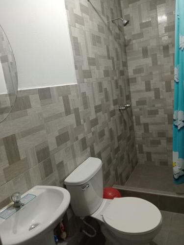 a bathroom with a toilet and a sink and a shower at La Petite Maison in Nazca