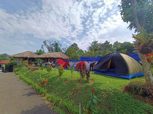 a group of tents in a field with trees at Camp Bukit Biru Kalimantan 
