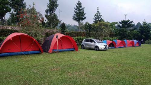 a row of tents in a field with a car at Camp Bukit Biru Kalimantan 