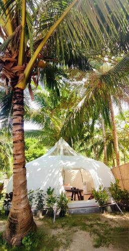 Giardino di Firesky Glamping Ocam Ocam Beach