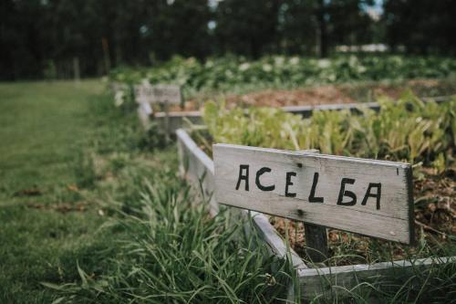 a garden with a sign that says keelba at Estancia Santa Cruz in José Ignacio