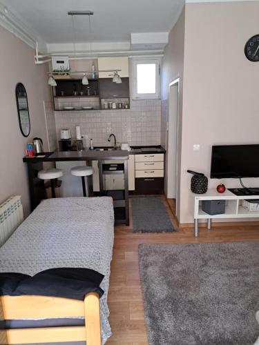 um quarto com uma cozinha com uma cama em Dvoriste Danguba em Nova Pazova